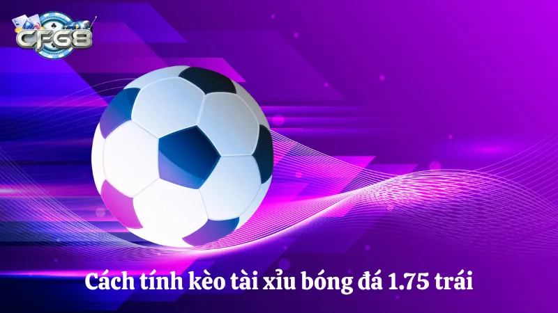 Cách tính tài xỉu bóng đá 1.75 trái