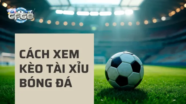 Hướng dẫn cách xem kèo tài xỉu bóng đá dễ hiểu nhất