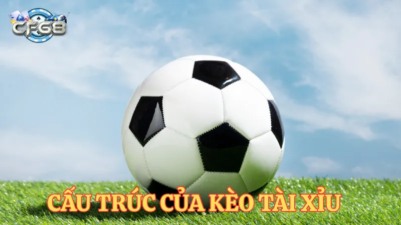 Cấu trúc của kèo tài xỉu