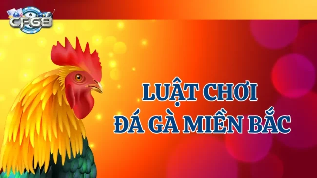 Luật chơi đá gà miền Bắc